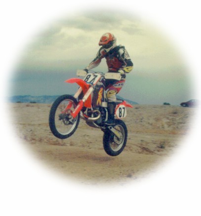 stecolor.jpg (28895 bytes)